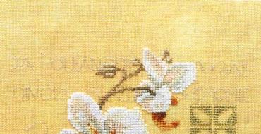 Κέντημα με χάντρες TM ορχιδέα Λουλούδια ορχιδέας σε κέντημα