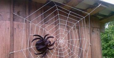 Teia de aranha faça você mesmo com uma aranha castanha e uma libélula feita de materiais naturais Como fazer uma teia de aranha com fios nas mãos