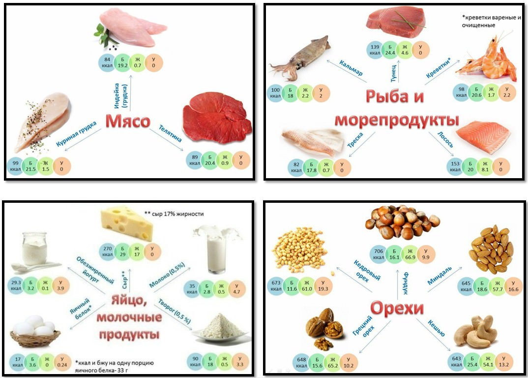 Сколько белка кушать в день. Источники белка в питании. Белок в продуктах для беременных. Белковые продукты. Источник белка в продуктах для беременных.